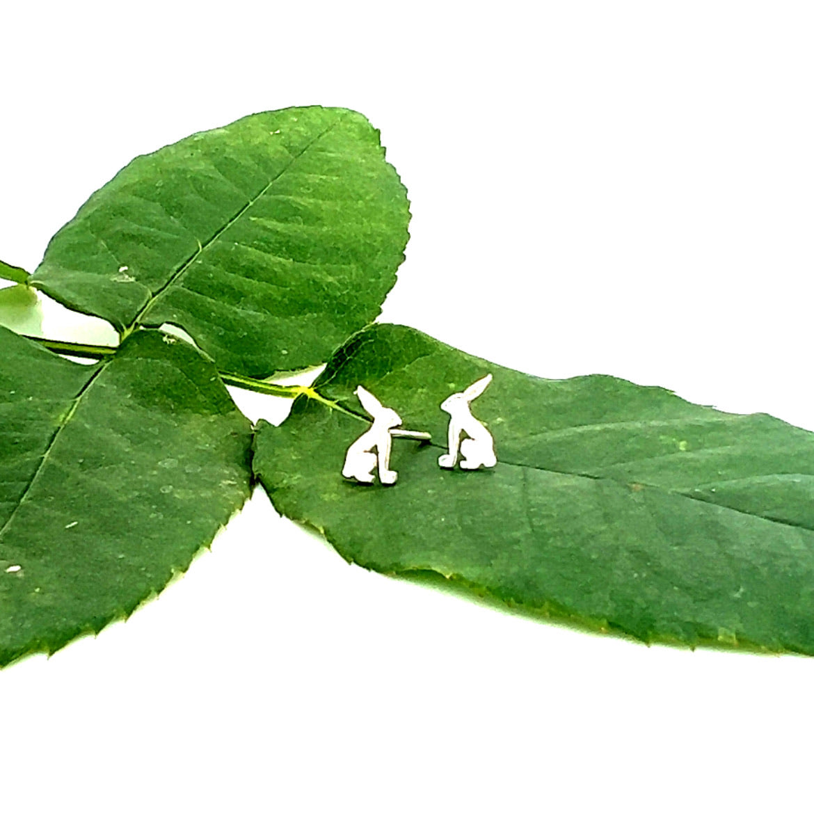 Little Creature Studs Jackrabbit