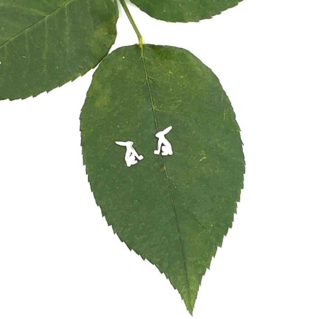 Little Creature Studs Jackrabbit