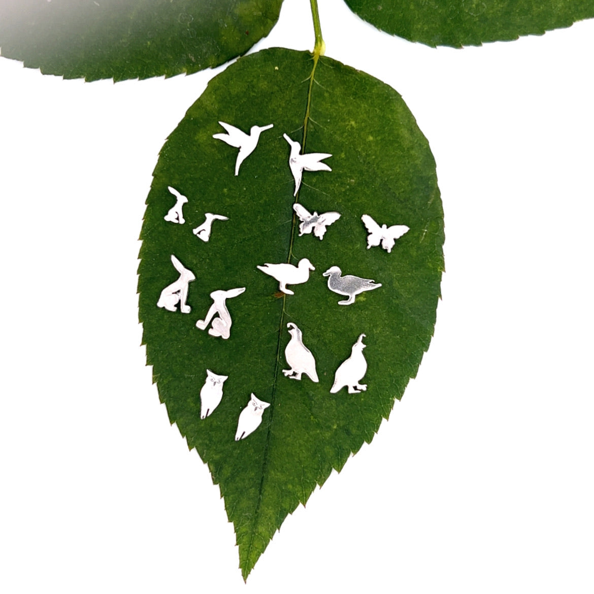 Little Creature Studs