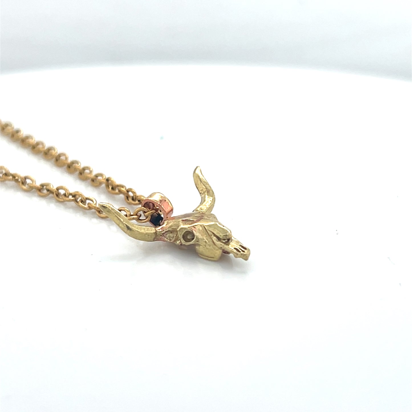 Texas Longhorn Skull Necklace #261