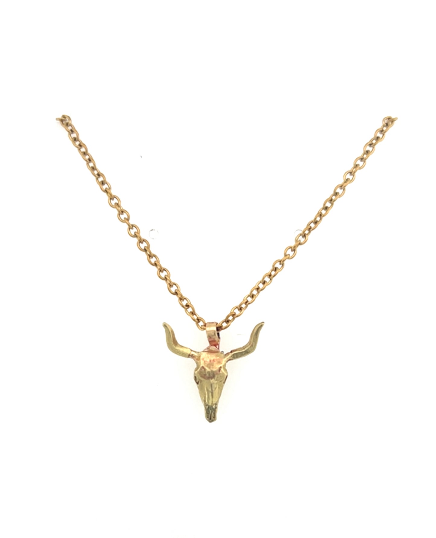 Texas Longhorn Skull Necklace #261