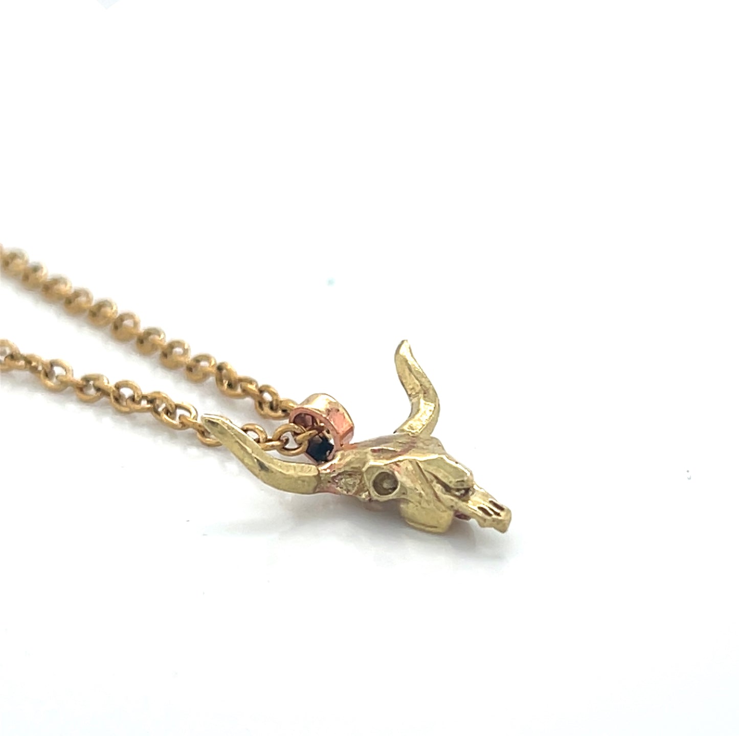 Texas Longhorn Skull Necklace #261